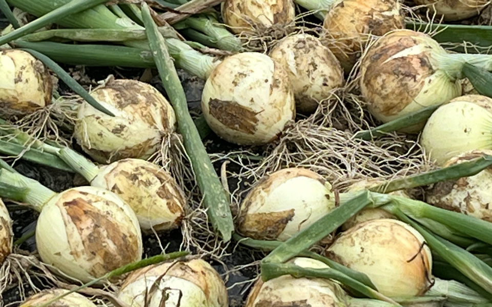 株式会社水の子イメージ03