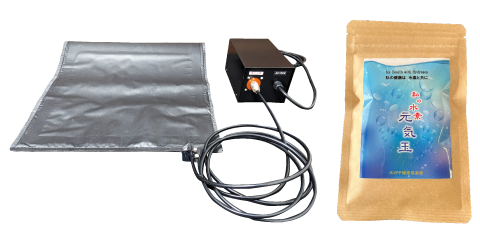 レギュラーコース